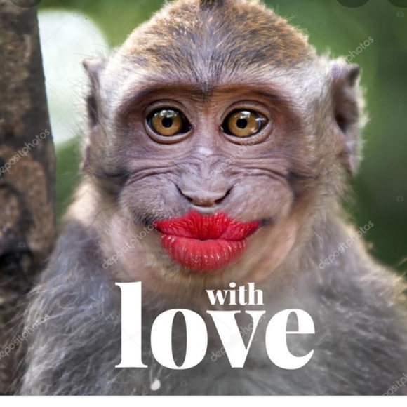 Out with the boring; in with the humor! Read on . . . 👜👚👠👛💍 - Picture 4 of 16